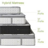 Wayfair Sleep™ 12